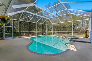 10501 Cyndee Ln, Odessa, FL 33556 - Photo 45