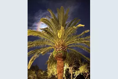 6499 99th Way N #18B, Saint Petersburg, FL 33708 - Photo 79