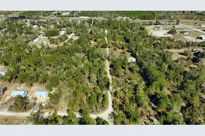 1 NE 134th Court, Williston, FL 32696 - Photo 3