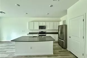 11406 Velvet Apricot Dr, Land O Lakes, FL 34638 - Photo 5