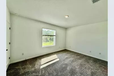 11406 Velvet Apricot Drive, Land O Lakes, FL 34638 - Photo 9