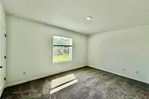 11406 Velvet Apricot Dr, Land O Lakes, FL 34638 - Photo 9