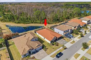 4011 Burdick Loop, Odessa, FL 33556 - Photo 53