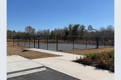 17212 English Chestnut Way, Land O Lakes, FL 34638 - Photo 25