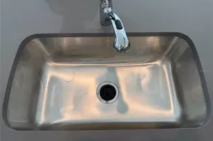 17212 English Chestnut Wy, Land O Lakes, FL 34638 - Photo 5