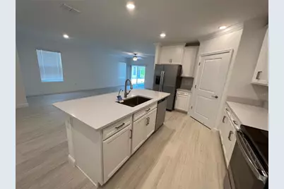 16831 Forge Surf Street, Land O Lakes, FL 34638 - Photo 7