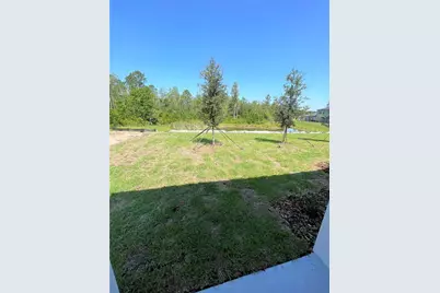 16831 Forge Surf Street, Land O Lakes, FL 34638 - Photo 23