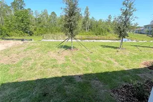 16831 Forge Surf St, Land O Lakes, FL 34638 - Photo 23