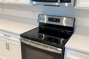 16831 Forge Surf St, Land O Lakes, FL 34638 - Photo 9