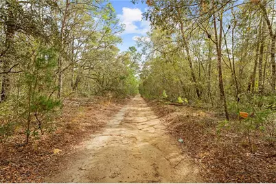 2810 Collins Street, Inverness, FL 34452 - Photo 11