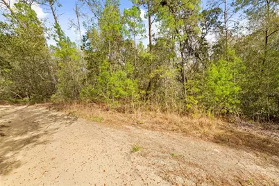 2810 Collins Street, Inverness, FL 34452 - Photo 13