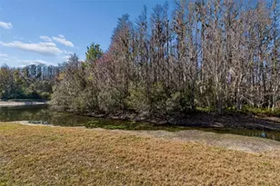 3511 Ballastone Dr, Land O Lakes, FL 34638 - Photo 79