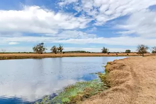 15721 Colding Loop, Wimauma, FL 33598 - Photo 65