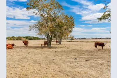 15721 Colding Loop, Wimauma, FL 33598 - Photo 63