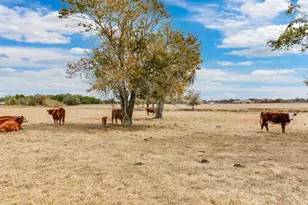 15721 Colding Loop, Wimauma, FL 33598 - Photo 63