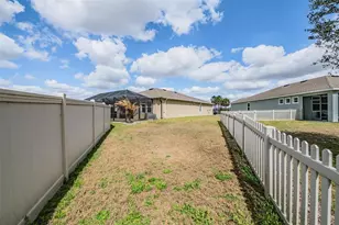 31364 Tansy Bnd, Wesley Chapel, FL 33545 - Photo 37