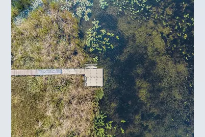 31364 Tansy Bend, Wesley Chapel, FL 33545 - Photo 59