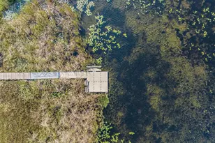 31364 Tansy Bnd, Wesley Chapel, FL 33545 - Photo 59