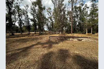 12755 S Moonraker Terrace, Floral City, FL 34436 - Photo 3