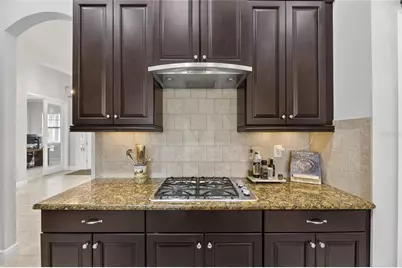 5328 Loon Nest Court, Apollo Beach, FL 33572 - Photo 23