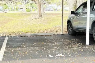 820 Virginia St, Dunedin, FL 34698 - Photo 41