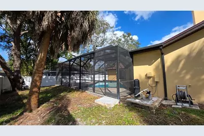 2890 Armadillo Drive, Palm Harbor, FL 34683 - Photo 55