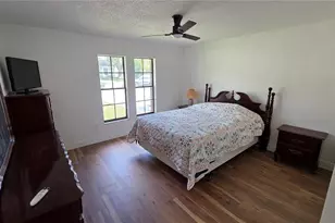 2890 Armadillo Dr, Palm Harbor, FL 34683 - Photo 19