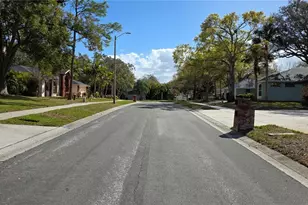 2890 Armadillo Dr, Palm Harbor, FL 34683 - Photo 59