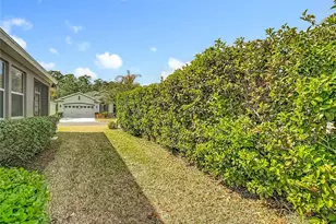 29109 Enniscrone Dr, San Antonio, FL 33576 - Photo 65