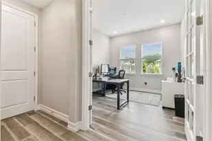 29895 Picana Ln, Wesley Chapel, FL 33543 - Photo 11