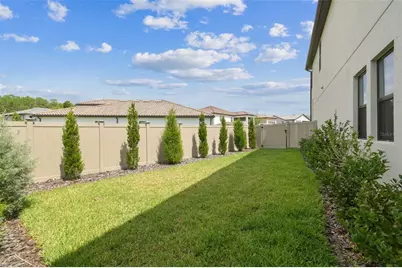 29895 Picana Lane, Wesley Chapel, FL 33543 - Photo 37