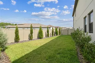 29895 Picana Ln, Wesley Chapel, FL 33543 - Photo 37