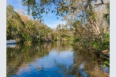 1214 E Park Circle, Tampa, FL 33604 - Photo 3