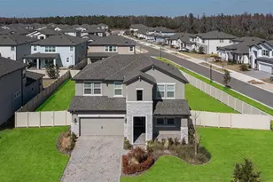 33287 Sycamore Leaf Dr, Wesley Chapel, FL 33545 - Photo 1
