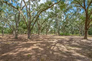 11832 Neal Rd, Lithia, FL 33547 - Photo 85