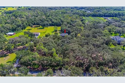 11832 Neal Road, Lithia, FL 33547 - Photo 61