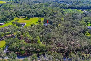 11832 Neal Rd, Lithia, FL 33547 - Photo 61