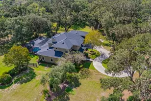 11832 Neal Rd, Lithia, FL 33547 - Photo 71