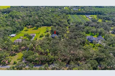 11832 Neal Road, Lithia, FL 33547 - Photo 63