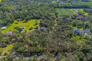 11832 Neal Rd, Lithia, FL 33547 - Photo 63