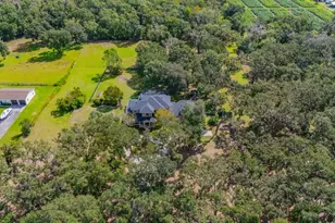 11832 Neal Rd, Lithia, FL 33547 - Photo 65