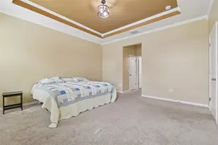 10507 Avian Forrest Dr, Riverview, FL 33578 - Photo 17