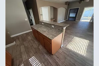 11547 Addison Chase Drive, Riverview, FL 33579 - Photo 5