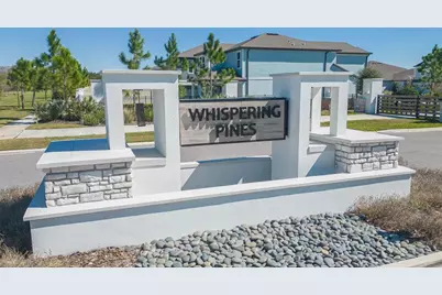 3749 Maple Bay Lane, Land O Lakes, FL 34638 - Photo 41