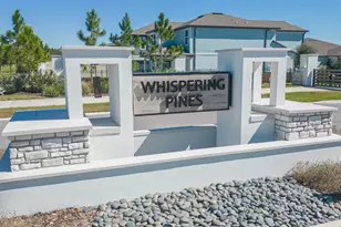 3749 Maple Bay Ln, Land O Lakes, FL 34638 - Photo 41