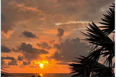 116 Carlyle Circle, Palm Harbor, FL 34683 - Photo 89