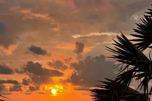 116 Carlyle Cir, Palm Harbor, FL 34683 - Photo 89