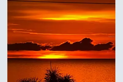 116 Carlyle Circle, Palm Harbor, FL 34683 - Photo 87