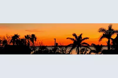 116 Carlyle Circle, Palm Harbor, FL 34683 - Photo 91