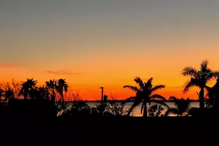 116 Carlyle Cir, Palm Harbor, FL 34683 - Photo 91